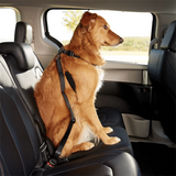 (70% OFF!) Pet Seat Belt