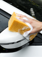 Car wash sponge